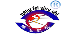 山东鹏飞影视有限公司