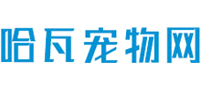 哈瓦宠物网