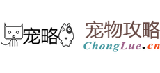 宠略网