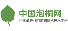 中国泡桐网