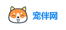 宠伴网