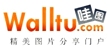 哇图网