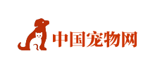 中国宠物网