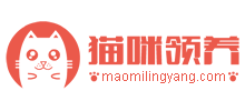 猫咪领养网