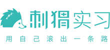 刺猬实习